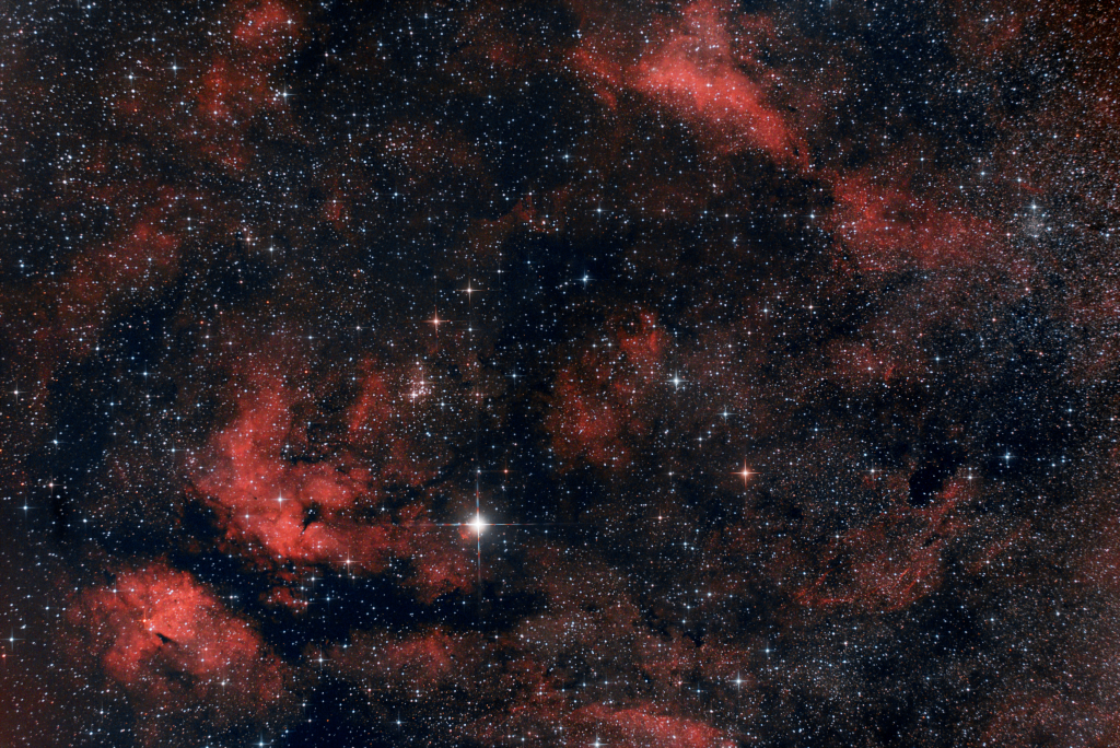 IC1318 (Sadr Region)