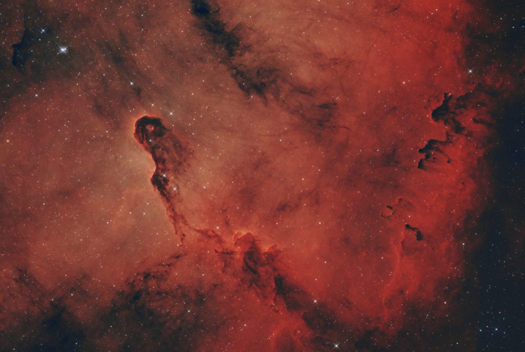 IC1396a (Elefantenrüsselnebel)
