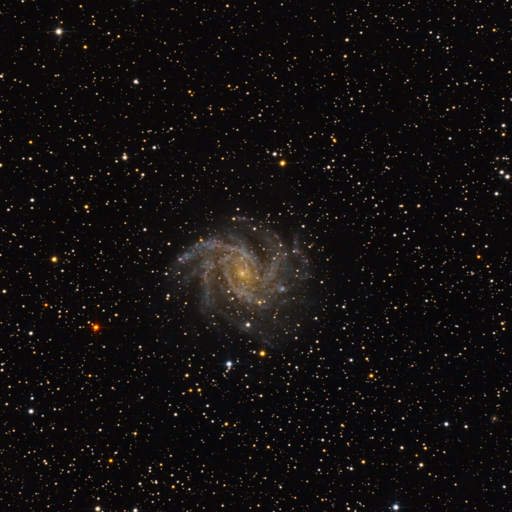 NGC6946 (Feuerwerksgalaxie)