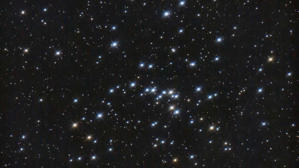 M48
