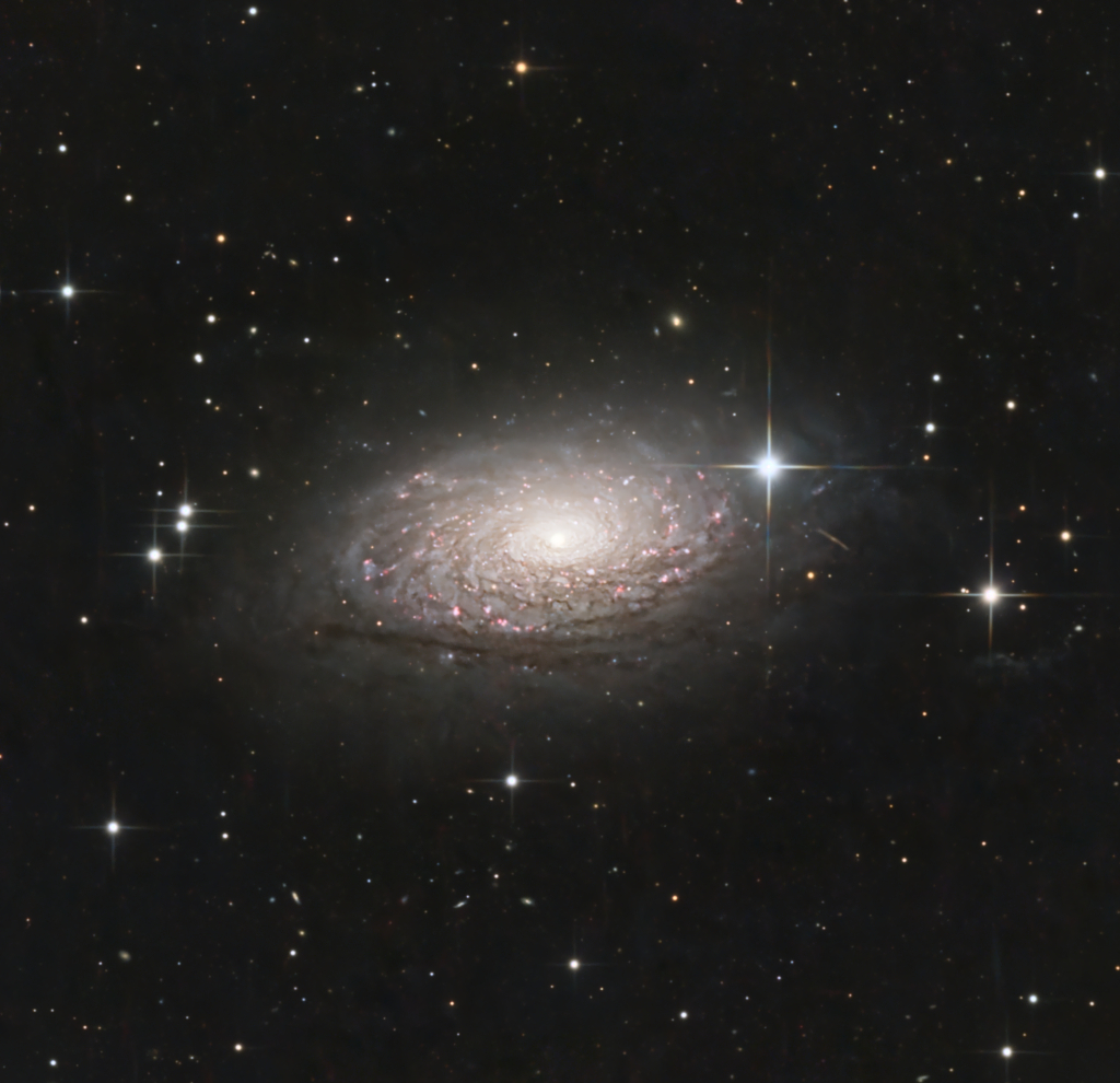 M63