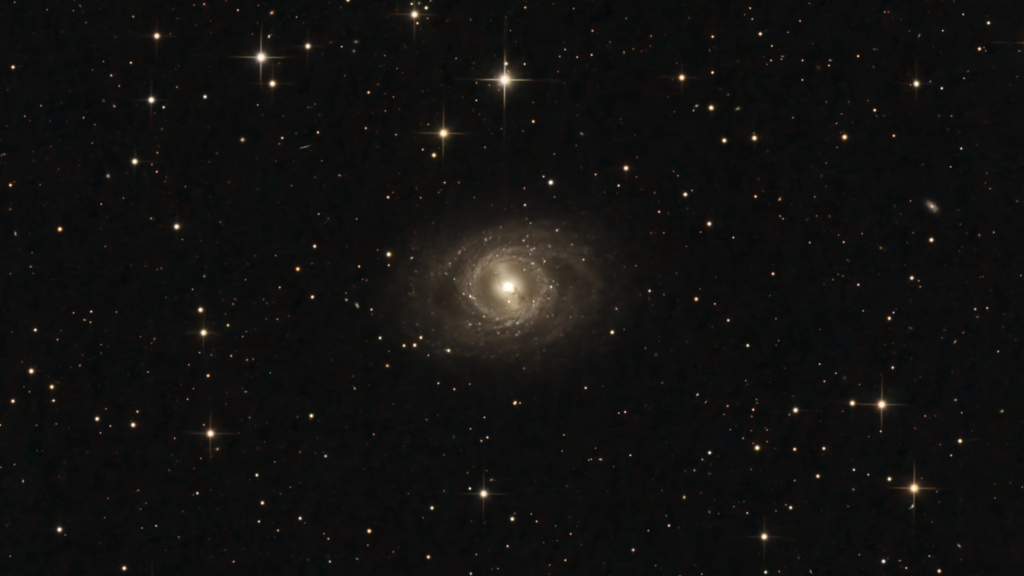 M95